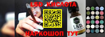 крисы Партизанск