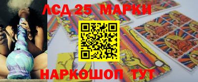 крисы Партизанск