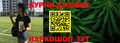 крисы Партизанск