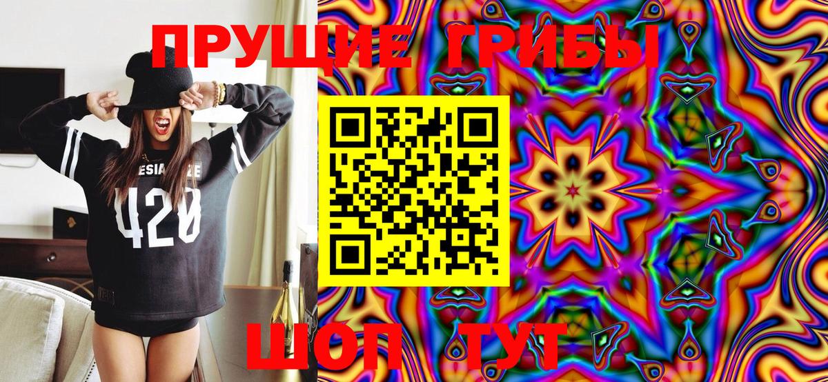 Галлюциногенные грибы Cubensis Ржев