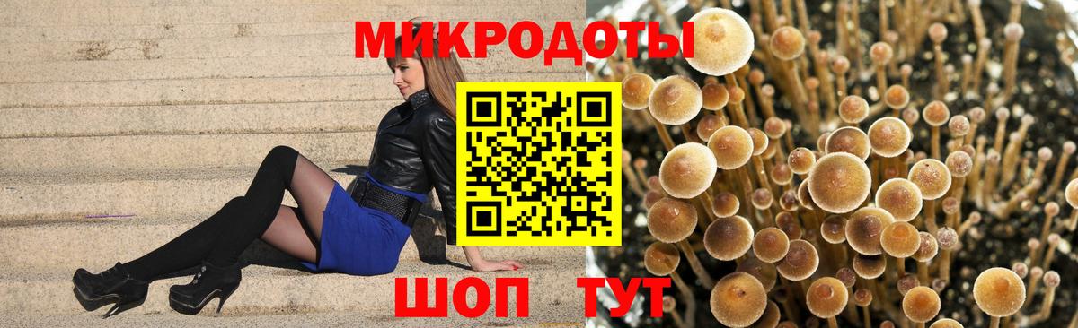 Ржев  Галлюциногенные грибы Cubensis  Вход с VPN 